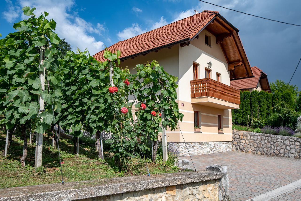 Vineyard Cottage Pod Piramido Dobrnic Ngoại thất bức ảnh
